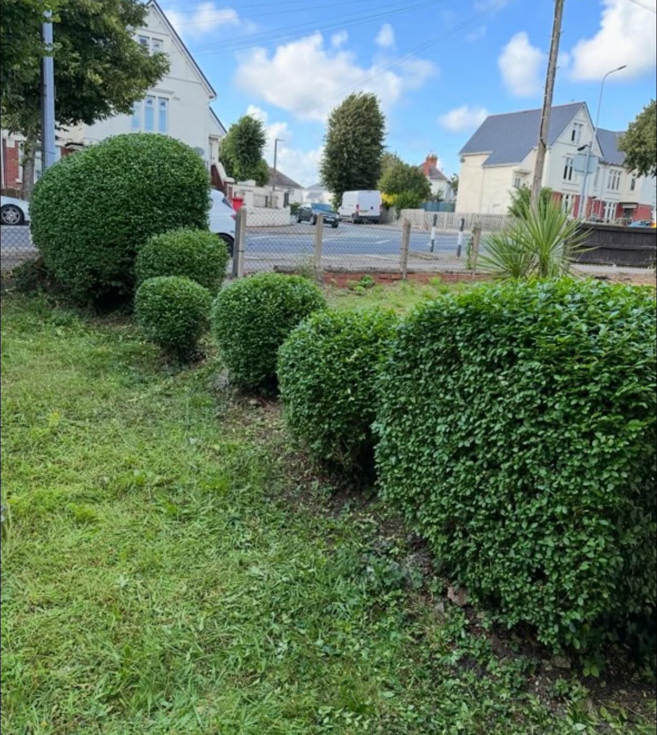 Professional gardening work - Barry