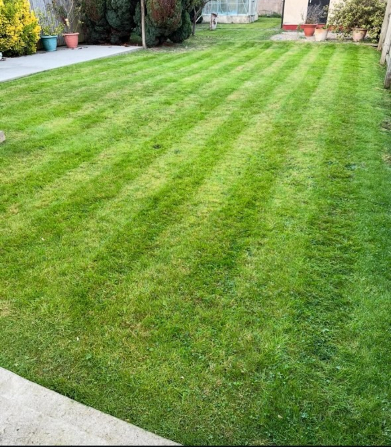 Garden transformation services