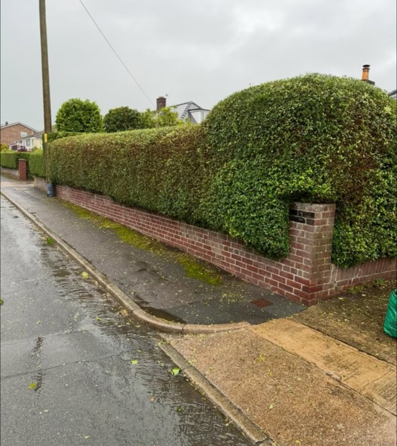 Lawn care and maintenance