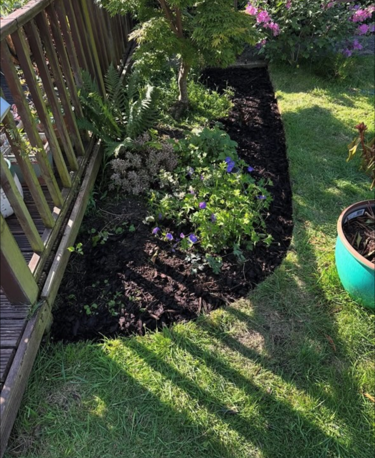 Hedge trimming and garden work