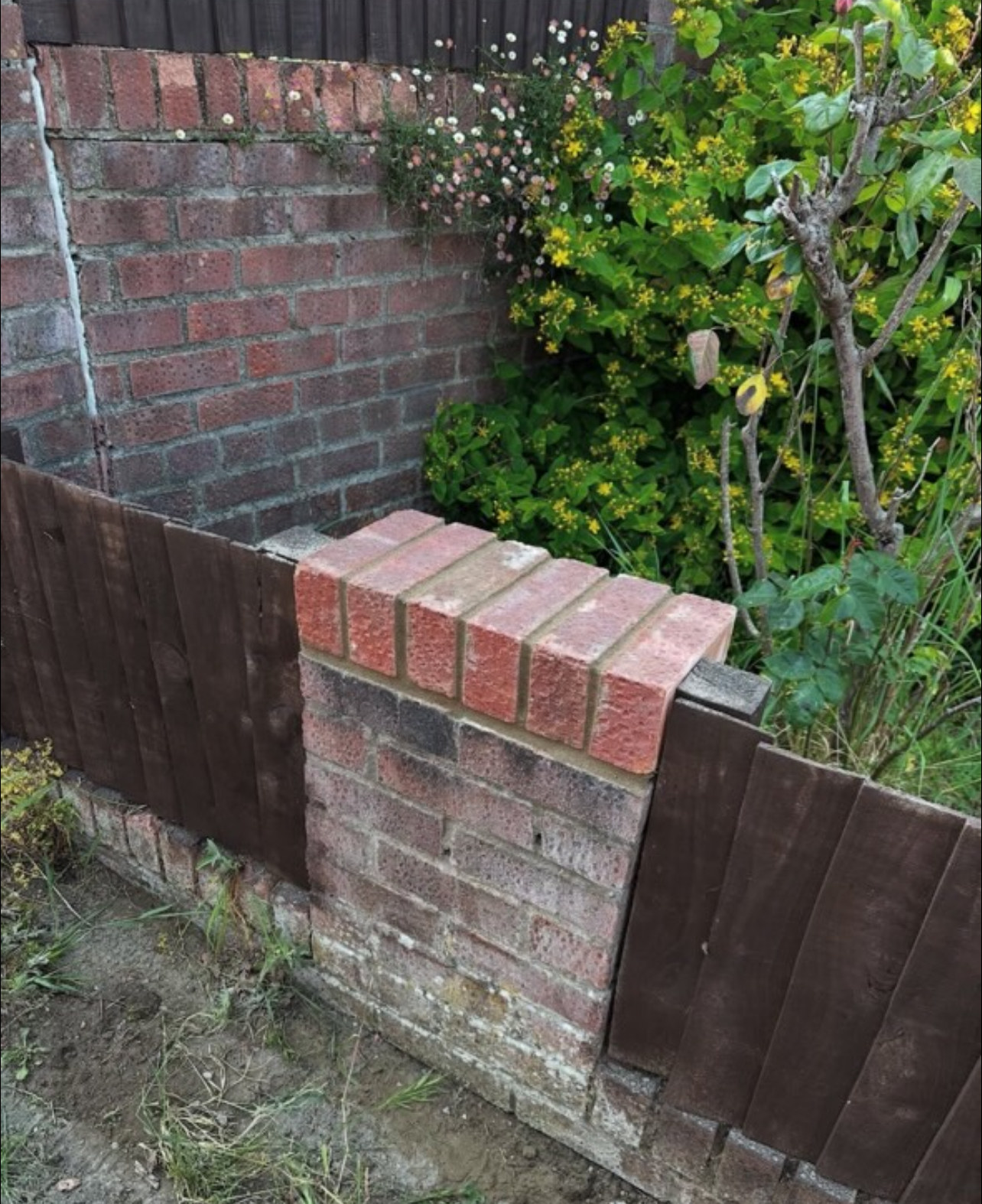 Complete garden services